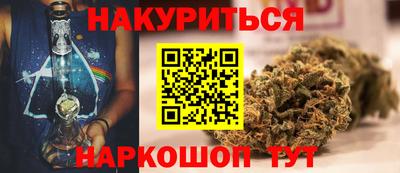 сатива Будённовск