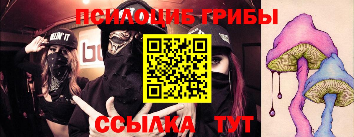 Галлюциногенные грибы ЛСД  Галлюциногенные грибы GOLDEN TEACHER  Ноябрьск  Вход с VPN 